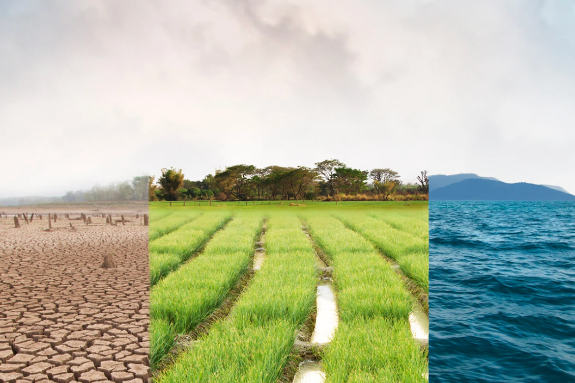 The Impact of Climate Change on Agriculture in Pakistan: A Looming Crisis